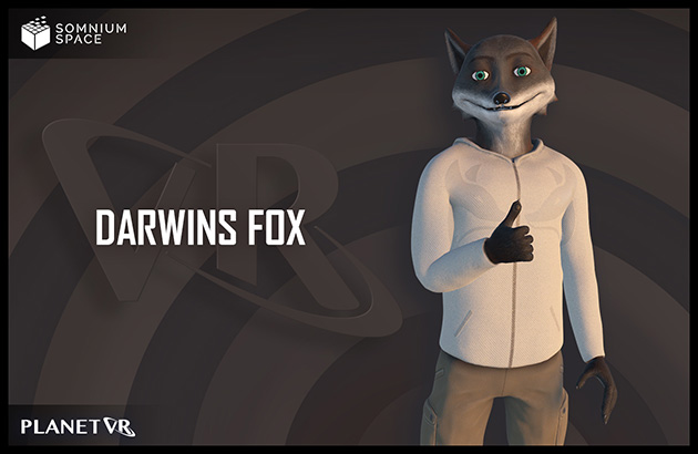 Darwins Fox
